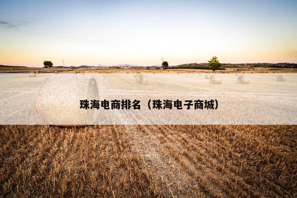 珠海电商排名（珠海电子商城）