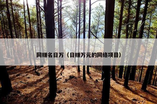 网赚名日万（日赚万元的网络项目）