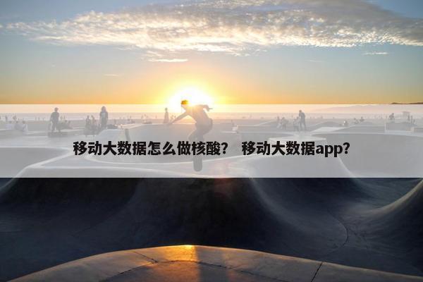 移动大数据怎么做核酸？ 移动大数据app？