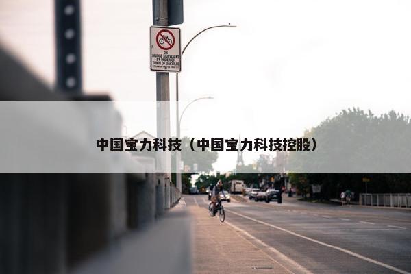中国宝力科技（中国宝力科技控股）