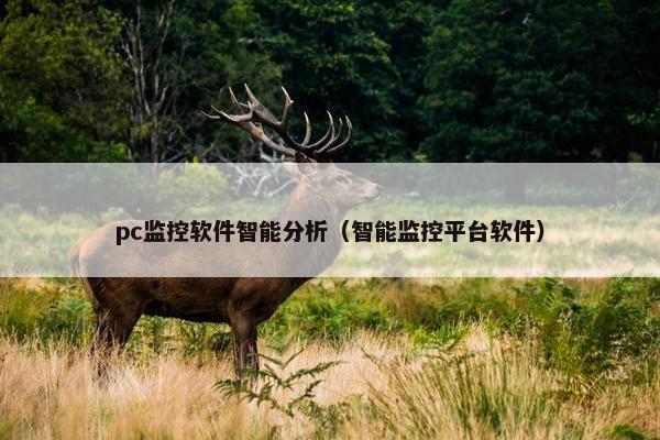 pc监控软件智能分析（智能监控平台软件）