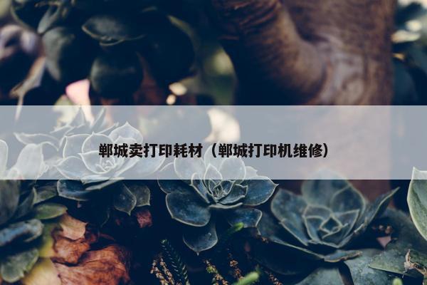 郸城卖打印耗材（郸城打印机维修）