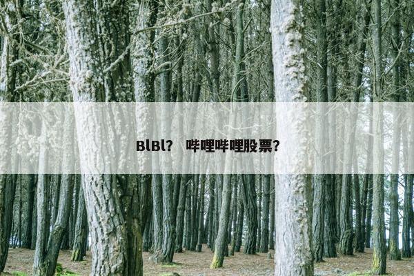 BlBl？ 哔哩哔哩股票？