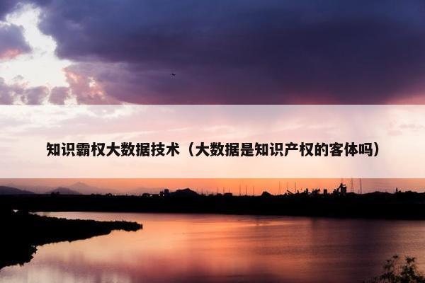 知识霸权大数据技术（大数据是知识产权的客体吗）