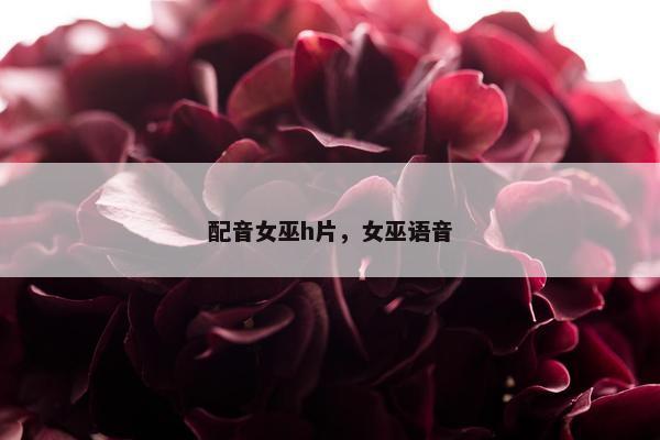 配音女巫h片，女巫语音