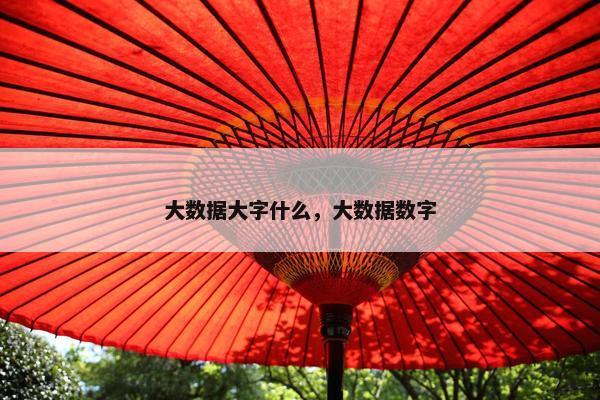 大数据大字什么，大数据数字