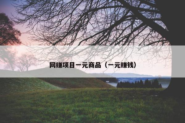 网赚项目一元商品（一元赚钱）
