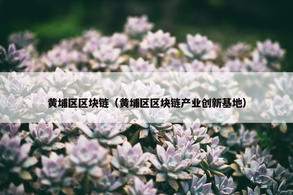黄埔区区块链（黄埔区区块链产业创新基地）