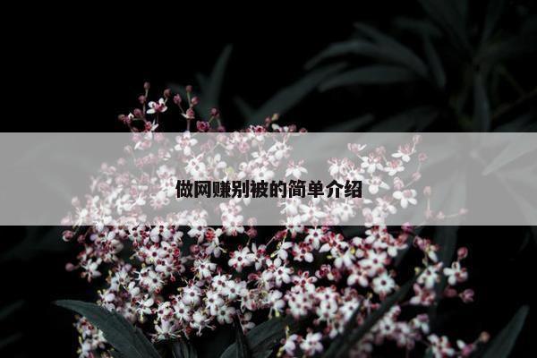做网赚别被的简单介绍