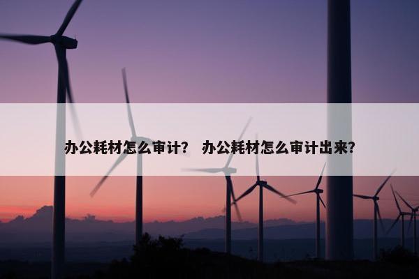 办公耗材怎么审计？ 办公耗材怎么审计出来？