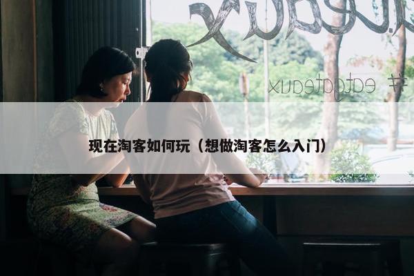 现在淘客如何玩（想做淘客怎么入门）
