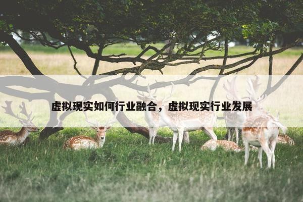 虚拟现实如何行业融合，虚拟现实行业发展