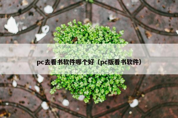 pc去看书软件哪个好（pc版看书软件）