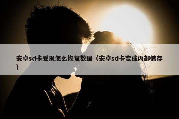 安卓sd卡受损怎么恢复数据（安卓sd卡变成内部储存）