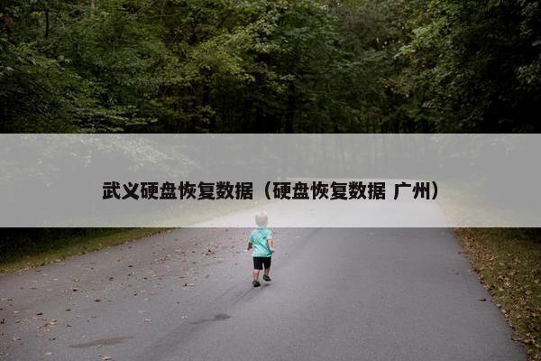 武义硬盘恢复数据（硬盘恢复数据 广州）
