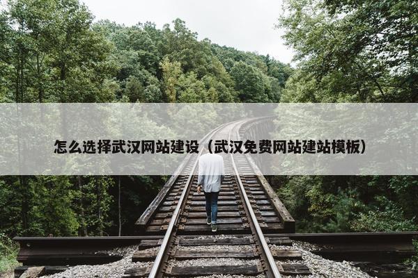 怎么选择武汉网站建设（武汉免费网站建站模板）
