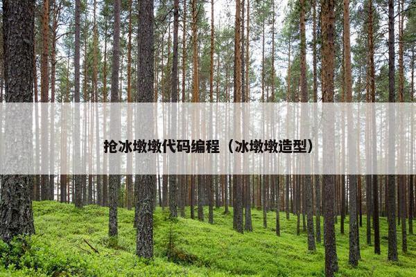 抢冰墩墩代码编程（冰墩墩造型）