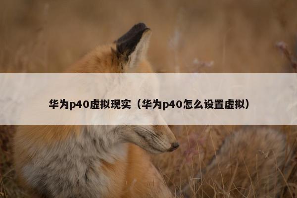 华为p40虚拟现实（华为p40怎么设置虚拟）