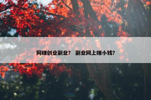 网赚创业副业？ 副业网上赚小钱？