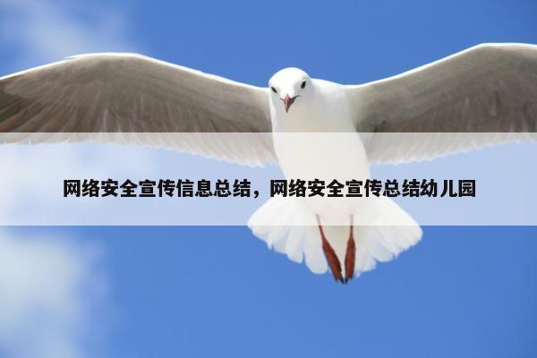网络安全宣传信息总结，网络安全宣传总结幼儿园