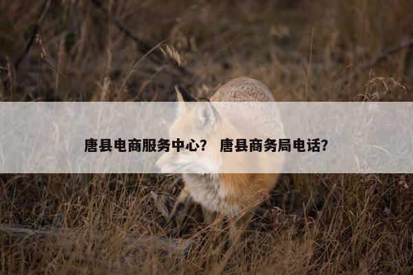 唐县电商服务中心？ 唐县商务局电话？