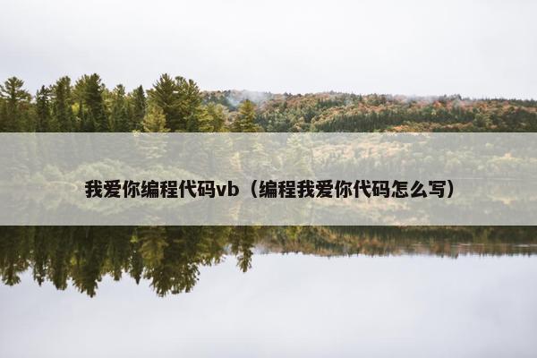 我爱你编程代码vb（编程我爱你代码怎么写）