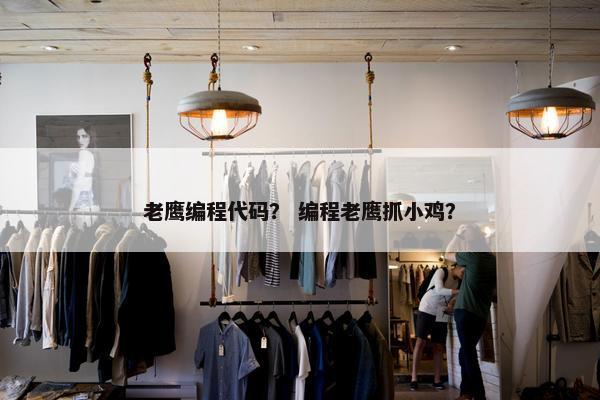 老鹰编程代码？ 编程老鹰抓小鸡？