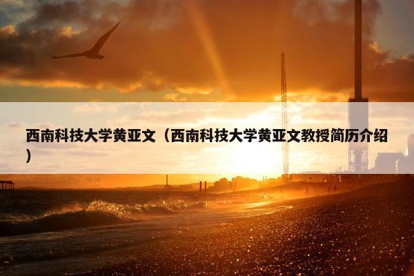 西南科技大学黄亚文（西南科技大学黄亚文教授简历介绍）