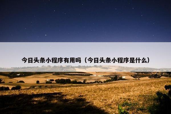 今日头条小程序有用吗（今日头条小程序是什么）