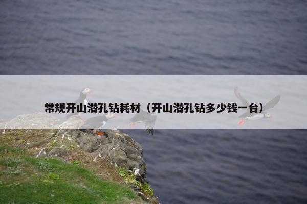 常规开山潜孔钻耗材（开山潜孔钻多少钱一台）