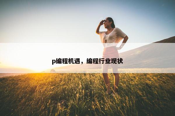 p编程机遇，编程行业现状