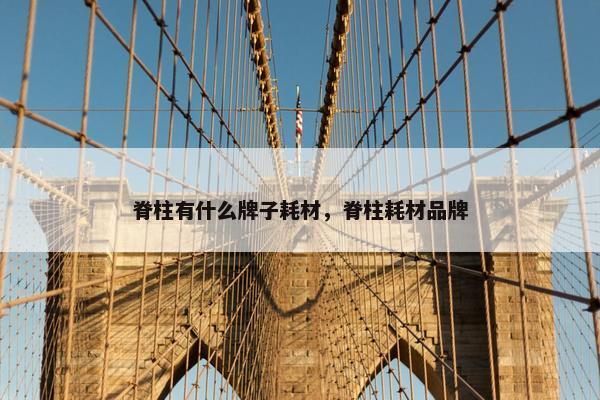 脊柱有什么牌子耗材，脊柱耗材品牌