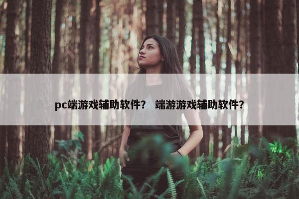 pc端游戏辅助软件？ 端游游戏辅助软件？