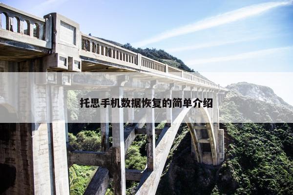 托思手机数据恢复的简单介绍