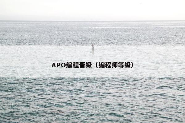 APO编程晋级（编程师等级）