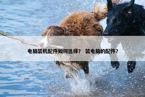 电脑装机配件如何选择？ 装电脑的配件？