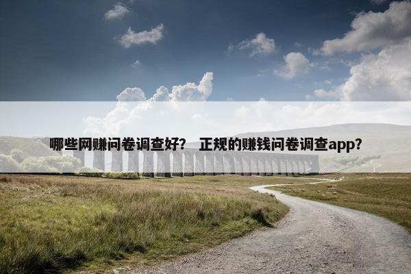 哪些网赚问卷调查好？ 正规的赚钱问卷调查app？