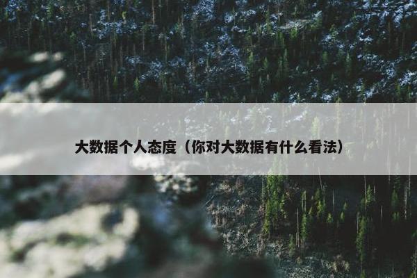 大数据个人态度（你对大数据有什么看法）