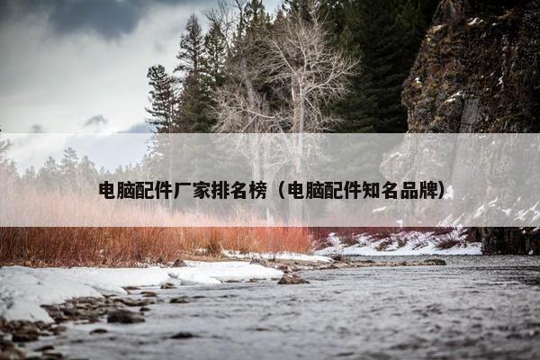 电脑配件厂家排名榜（电脑配件知名品牌）