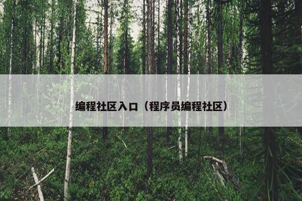 编程社区入口（程序员编程社区）