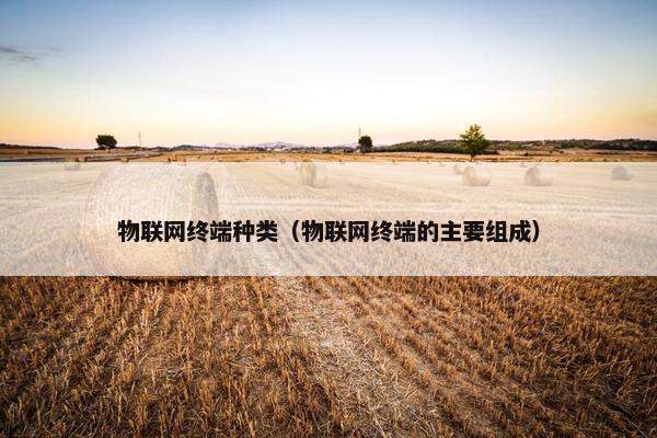 物联网终端种类（物联网终端的主要组成）