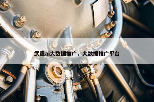 武邑ai大数据推广，大数据推广平台