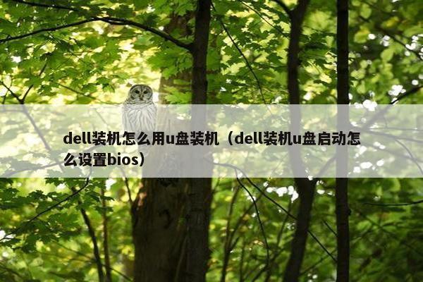 dell装机怎么用u盘装机（dell装机u盘启动怎么设置bios）