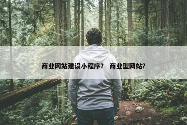 商业网站建设小程序？ 商业型网站？