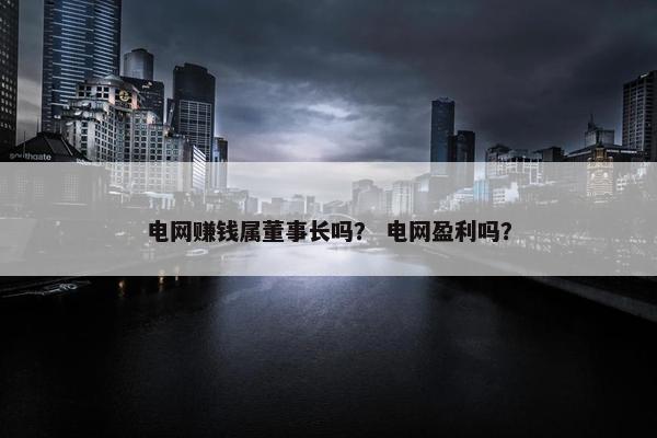 电网赚钱属董事长吗？ 电网盈利吗？