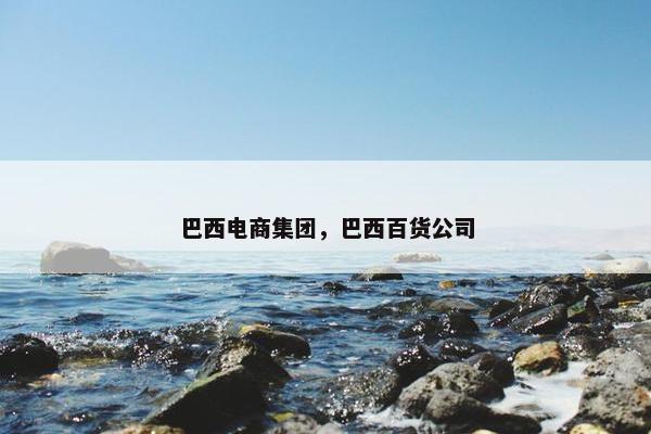巴西电商集团，巴西百货公司