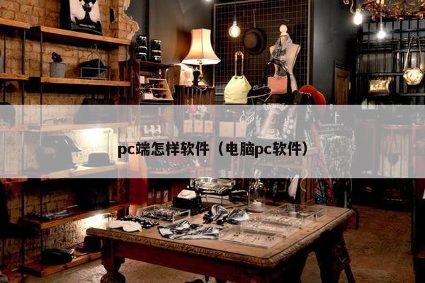 pc端怎样软件（电脑pc软件）