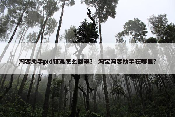 淘客助手pid错误怎么回事？ 淘宝淘客助手在哪里？