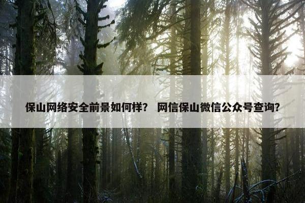 保山网络安全前景如何样？ 网信保山微信公众号查询？