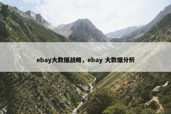 ebay大数据战略，ebay 大数据分析